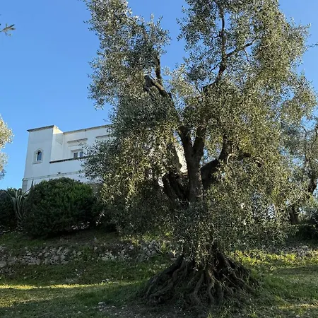 Con Piscina Poggio Al Sole Вьесте